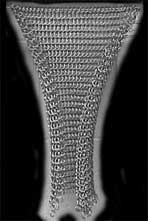 HP 3-1 Sheet 5 hanging with curl