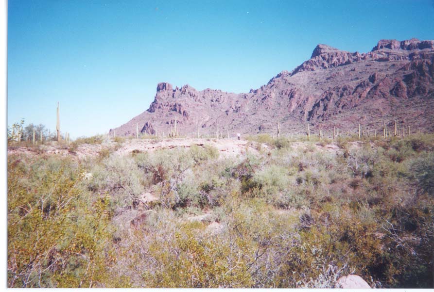 AZ002.jpg
