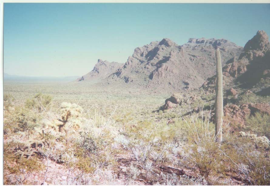 AZ017.jpg